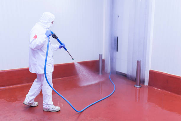 Best Playground Equipment Cleaning  in Warsaw, VA